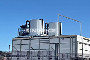 南非海鮮水產保鮮，2臺日產30噸片冰機